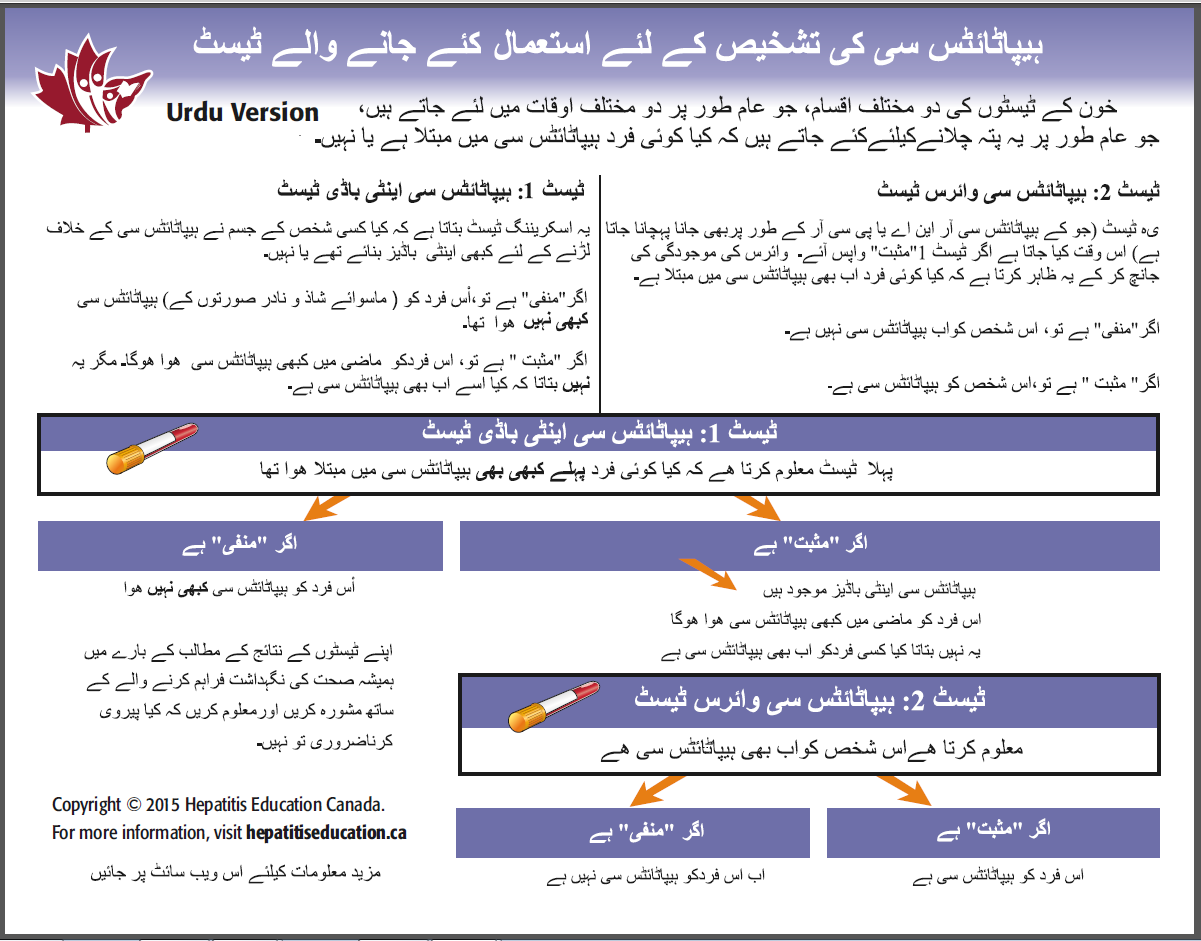 hepatitis-education-canada-programme-canadien-d-ducation-sur-l-h-patite