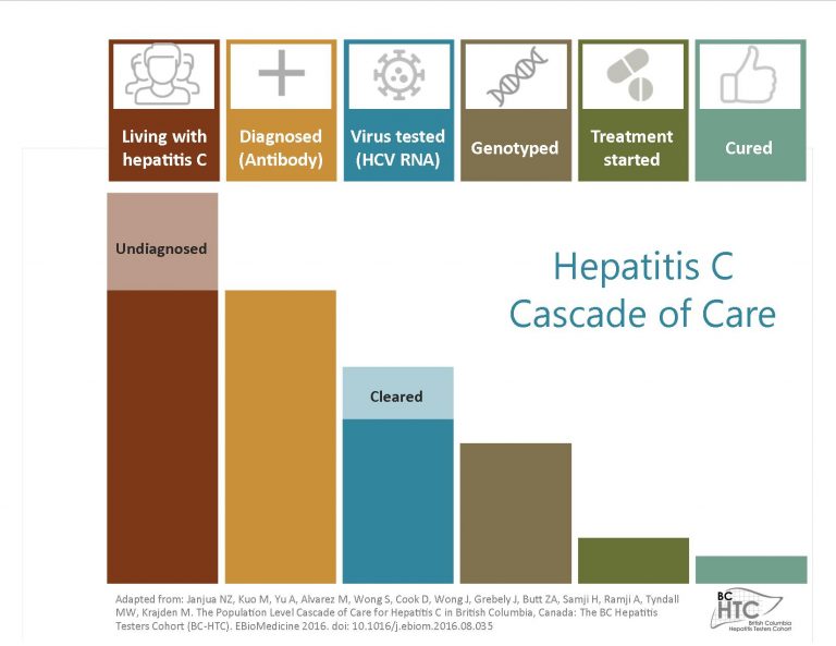 Hepatitis Education Canada | Programme Canadien D’éducation Sur L’hépatite